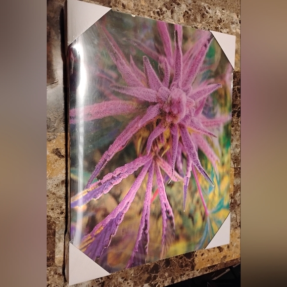Other - Purple Kush 4D Wall Decor